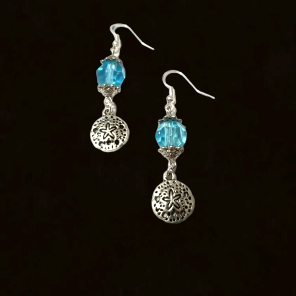 Brand New Earrings